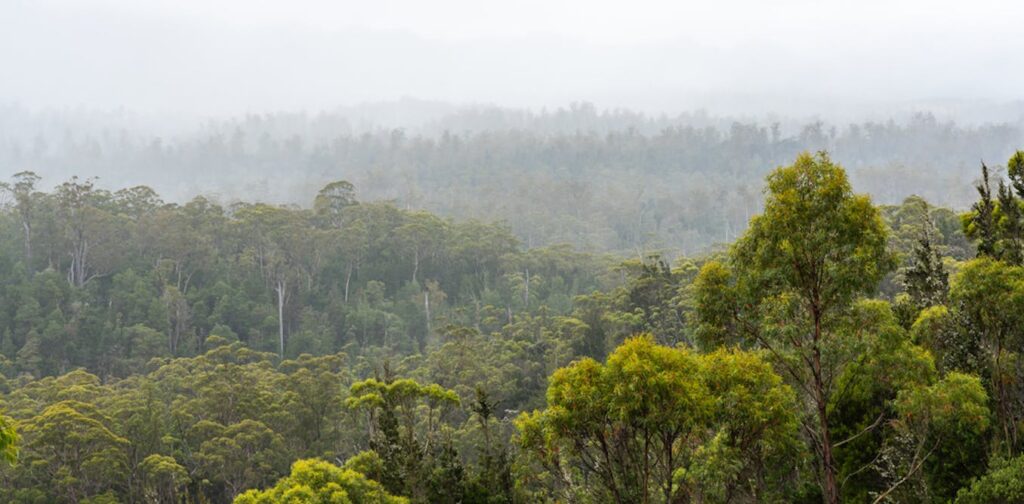 A fierce battle is taking place on the ground beneath our feet – and the implications for global warming are huge