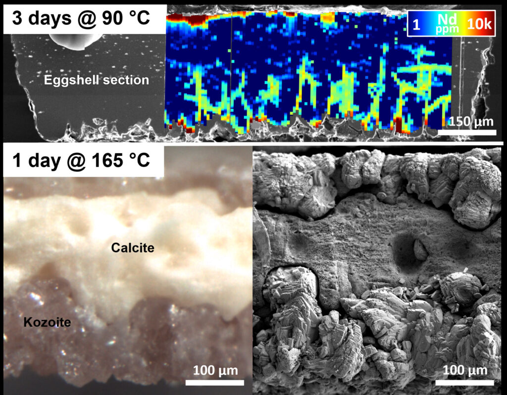 Eggshell waste can recover rare earth elements needed for green energy