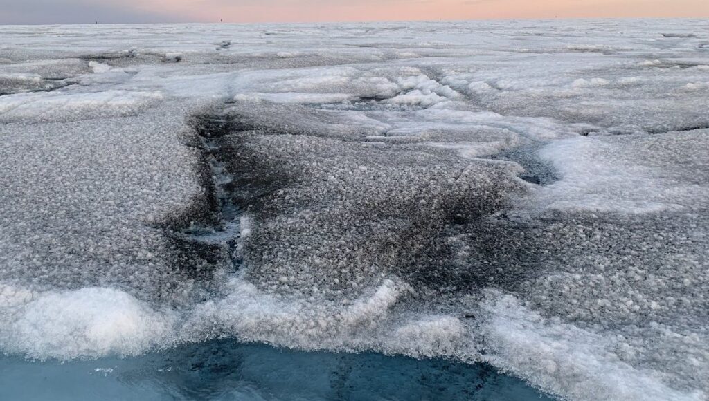 Strange giant viruses are found hidden in the Greenland ice sheet